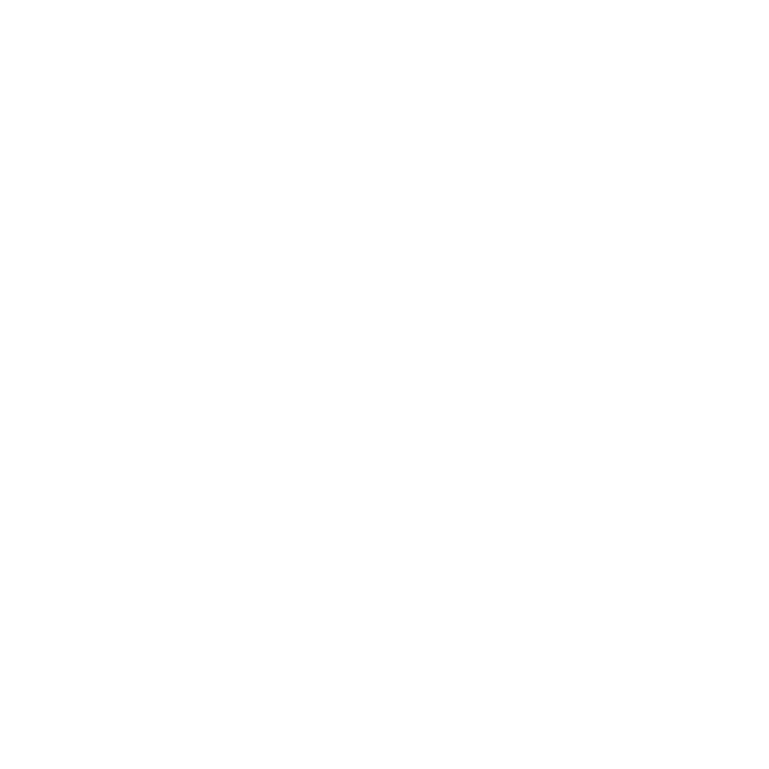 BizZone Logo